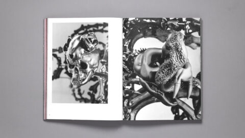 Ai Weiwei 5