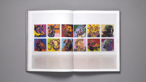 Ai Weiwei 3