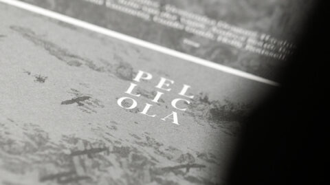 Pellicola 16